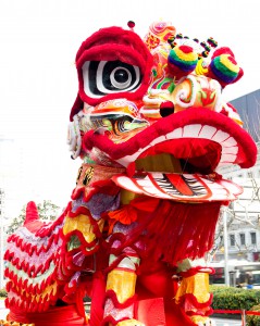 Chinese new year lion